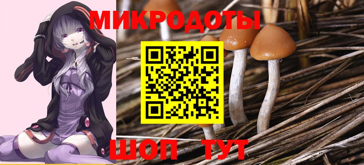 Дзержинск  Псилоцибиновые грибы Magic Shrooms  Вход с VPN 